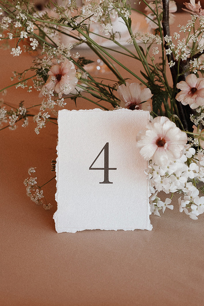 Classic Minimalist Table Numbers
